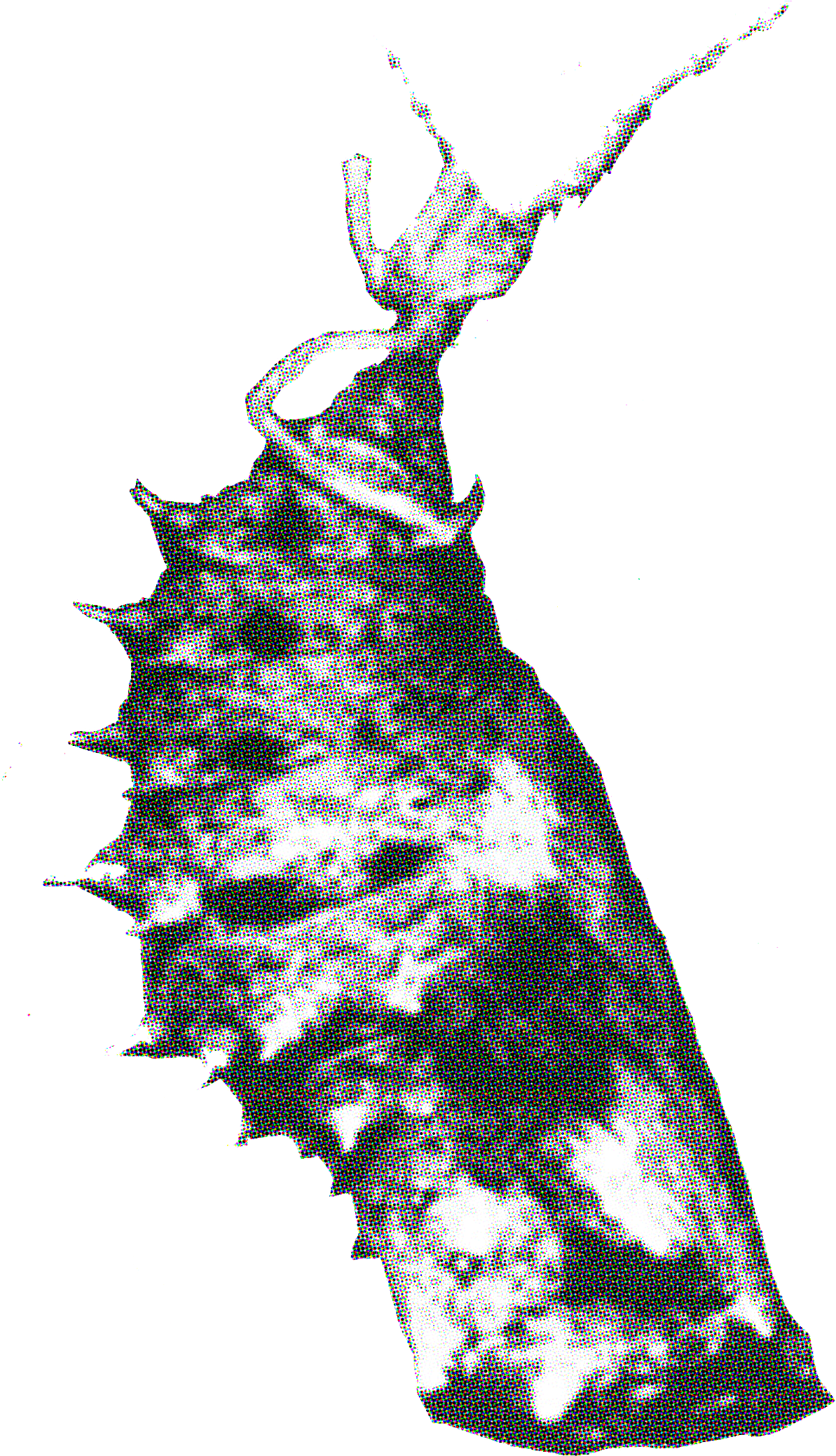 png image